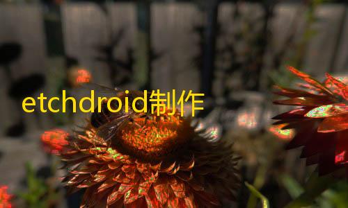 荒野透视免费辅助对话翻译